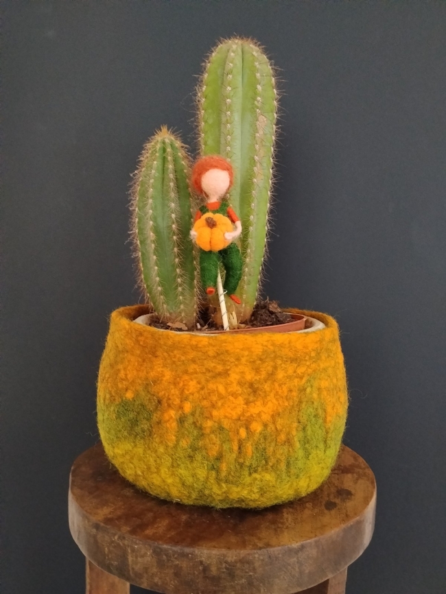 Vide poche ou cache pot - Prix doux